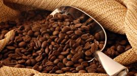 El café es uno de los productos de exportación a los que se eliminará el 15% de arancel para ingresar a Santa Elena.