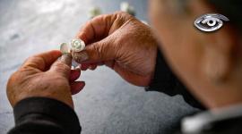 En Calderón, un puñado de artesanos mantiene con paciencia y amor una tradición que resiste al tiempo: las figuras de mazapán. Lo que nació como un ritual ancestral hoy es un arte minucioso que mezcla herencia, color y esperanza. Su sueño: que el brillo del mazapán vuelva a conquistar al Ecuador y al mundo.