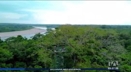 El Desafío Naturalista 2025 reunió a 119 estudiantes para identificar plantas no nativas en Ecuador. La iniciativa busca fortalecer el pensamiento científico y generar información útil para futuras investigaciones.

Un reportaje de Nathalie Jiménez