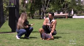 El experto canino Paúl Méndez nos enseña identificar los signos de estrés que pueden presentar nuestras mascotas y ejercicios que ayudan a reducirlo.