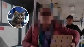 Un gato fue rescatado después que un hombre lo utilizara para pedir dinero en buses