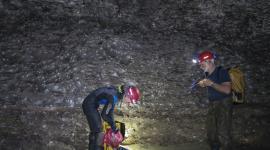 En la gruta "Sulfur Cave" de Grecia científicos descubren gigantesca telaraña con más de 111 mil arañas