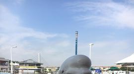 Beluga en un centro de atracciones (foto referencial)