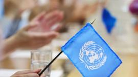 La Organización de las Naciones Unidas (ONU) tiene oficinas en 193 países y cuenta con 37 000 empleados