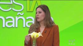 La dermatóloga Esmeralda Terán comparte tips esenciales para realizar una rutina de skincare efectiva tanto en mujeres como en hombres.