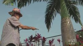 Julián Campos entrevistó a Leoncio Vásquez, un vecino que a su avanzada edad siempre colabora en todo lo posible y trabaja por un barrio más unido y activo.