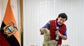 El Ministerio de Ambiente y Energía presentó una iniciativa para no arrancar los musgos.