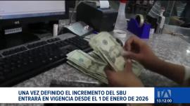 La primera reunión del Consejo Nacional de Salarios concluyó sin consensos. A pesar de ello, el ministro del Trabajo, Harold Burbano, adelantó que el incremento del salario básico para 2026 estaría entre 11 y 15 dólares.

Un reportaje de Lucía Clavijo