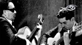 Cada nota de la guitarra quiteña cuenta una historia que atraviesa el tiempo. Después de décadas de quietud, su ritmo volvió a conquistar oídos y corazones. Hoy representa identidad, memoria y orgullo.