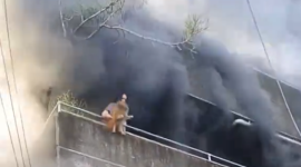 Una mujer se negó a evacuar un edificio en llamas sin antes salvar a sus mascotas.