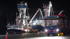 El alcalde de Quito, Pabel Muñoz, rechaza el examen especial de la Contraloría, en el que se detectaron irregularidades en la compra de 60 trolebuses eléctricos. Afirma que presentarán pruebas que demuestran la legalidad del proceso.

Un reportaje de Brigette Mancheno