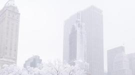 La Gran Manzana amaneció bajo un manto blanco uniforme pero no muy compacto