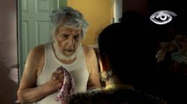 Una película ecuatoriana que mira de frente a la vejez.  Lo que comienza como una historia de soledad se transforma en una oda a los pequeños, pero poderosos, momentos de conexión, con un felino que roba el protagonismo y el corazón.