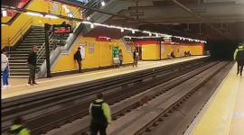 Perrito en las rieles del Metro de Quito paraliza la operación