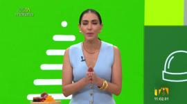 La doctora Isabel Espinosa nos habla de las plantas medicinales y remedios naturales que podemos usar para evitar  la pérdida del colágeno.