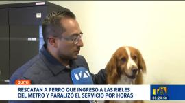 La Unidad de Bienestar Animal rescató al perro que ingresó a los rieles del Metro de Quito y obligó a suspender el servicio por varias horas. El animal se encuentra en buen estado de salud y, si no aparece su tutor, será dado en adopción.

Un reportaje de Nathalie Jiménez