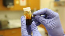 Descontrol en laboratorios exponen el riesgo de fuga de patógenos peligrosos