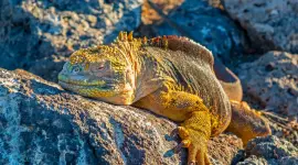 El 2025 va dejando noticias positivas en materia de ambiente, salud y otras.