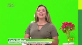 La especialista Paula Chiriboga nos habla de la inteligencia emocional como la base de los valores. ¿Cómo educar a nuestros hijos en épocas tan sensibles como la Navidad?