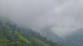 bus interprovincial se volcó en la vía Alóag - Santo Domingo este 25 de diciembre