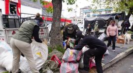 Las autoridades decomisaron más de 480 kilos de musgo en el país.