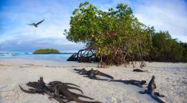 El Parque Nacional Galápagos fue reconocido por la diversidad que presenta.