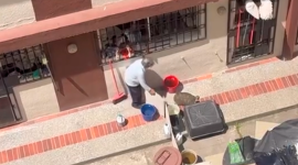 Una persona golpea a una tortuga terrestre en el patio de una vivienda, en Quito.