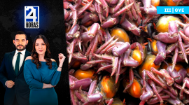 Revise las noticias más destacadas de Guayaquil en nuestro Noticiero 24 Horas Tercera Emisión de este martes 13 de enero del 2026. Con Valerie Villalva y Bernarda Cevallos