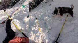 Repentina avalancha sorprende a esquiadora y su perro en montaña de Andorra
