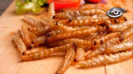 Grillos, hormigas y gusanos pasan de generar dudas a ponerse sobre la mesa. En este reportaje entramos a una granja de insectos y caminamos por mercados donde comerlos ya es parte del día a día.  Nutren, cuidan el planeta y obligan a preguntarse ¿nos animamos a usarlos en la próxima receta?