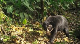 El Chocó Andino es reconocido por la Unesco como Reserva de Biósfera.