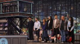 Ocho mascotas y sus dueños visitarons las cocinas de MasterChef Celebrity Ecuador.