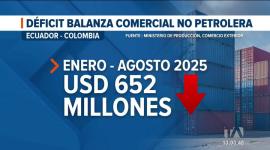 Medicinas y energía eléctrica son los principales rubros que Ecuador importa desde el mercado colombiano. Un reportaje de Bernarda Cevallos