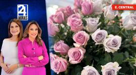 Revise las noticias más destacadas del Ecuador en nuestro Noticiero 24 Horas Emisión Central de este miércoles 21 de enero del 2026. Con Gabriela Galárraga y Liz Valarezo. Energía