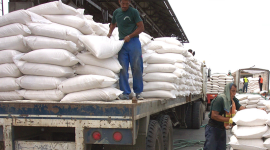 Colombia aplica arancel del 30% al arroz y sus derivados provenientes de Ecuador