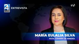 'Desde hace mucho tiempo existen infiltraciones de mineros ilegales en operaciones legales', María Eulalia Silva, presidenta de la Cámara de Minería, sobre la minería ilegal.