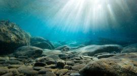 Los materiales de las baterías contaminan el agua y son de difícil degradación.