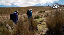 La desaparición de un niño en el cerro Puñay puso en alerta a todo el país durante varios días. El desenlace fue feliz, pero estos episodios no son excepcionales. A partir de ese caso, conversamos con especialistas para recoger consejos esenciales: equipamiento adecuado, planificación, lectura del clima y qué hacer ante una emergencia.