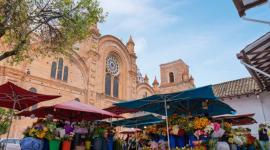Cuenca, Ecuador – March 1, 2025: Colorful flower market in front of the Cathedral of the Immaculate Conception, a historic landmark in the city, during a bustling morning scene.