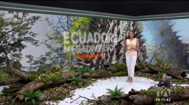 Investigadores encontraron una nueva especie de árbol espinoso que nade de una misma raíz, siendo un hito de la biodiversidad del sector de Zapotillo. Un reportaje de Nathalie Jiménez