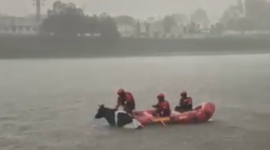 Estrellita quedó atrapada en el reservorio de Guangopolo.