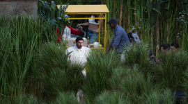 Parte de los “arbolitos” que acompañaron a Bad Bunny en su show del medio tiempo en el Super Bowl LX no eran utilería