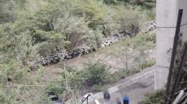 Los Bomberos realizaron labores de rescate de una persona atrapada en su vehículo