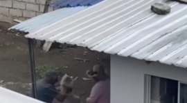 Maltrato animal contra dos perritos en barrio del sur de Quito