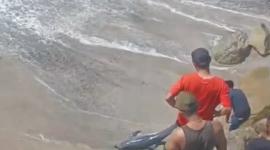 En Crucita, Manabí, un grupo de personas mató a un delfín. Todo quedó grabado en video.