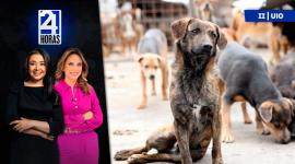 Revise las noticias más destacadas de Quito en la Segunda Emisión del Noticiero 24 Horas de este jueves 19 de febrero del 2026. Con Gabriela Galárraga y Andrea Samaniego.