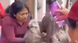 Madre e hija se salvaron tras ser arrastradas por un aluvión en Alausí.