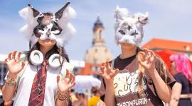 En América Latina se ha identificado la presencia de esta subcultura digital en varios países