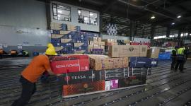 Personas organizan una carga de flores en el Aeropuerto Internacional Mariscal Sucre en Quito a propósito de San Valentín.