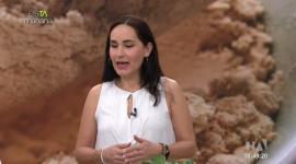 Isabel espinosa, experta en plantas medicinales, habló sobre los beneficios que tiene el eucalipto en la salud sobre todo respiratoria.